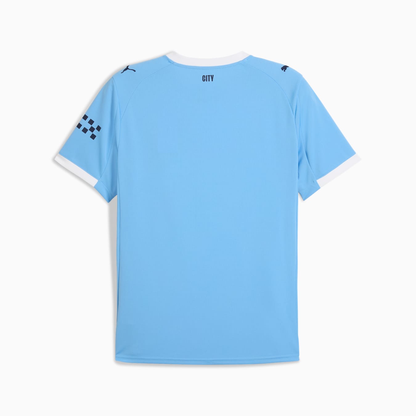 Puma Mens Manchester City Home Jersey 25/26