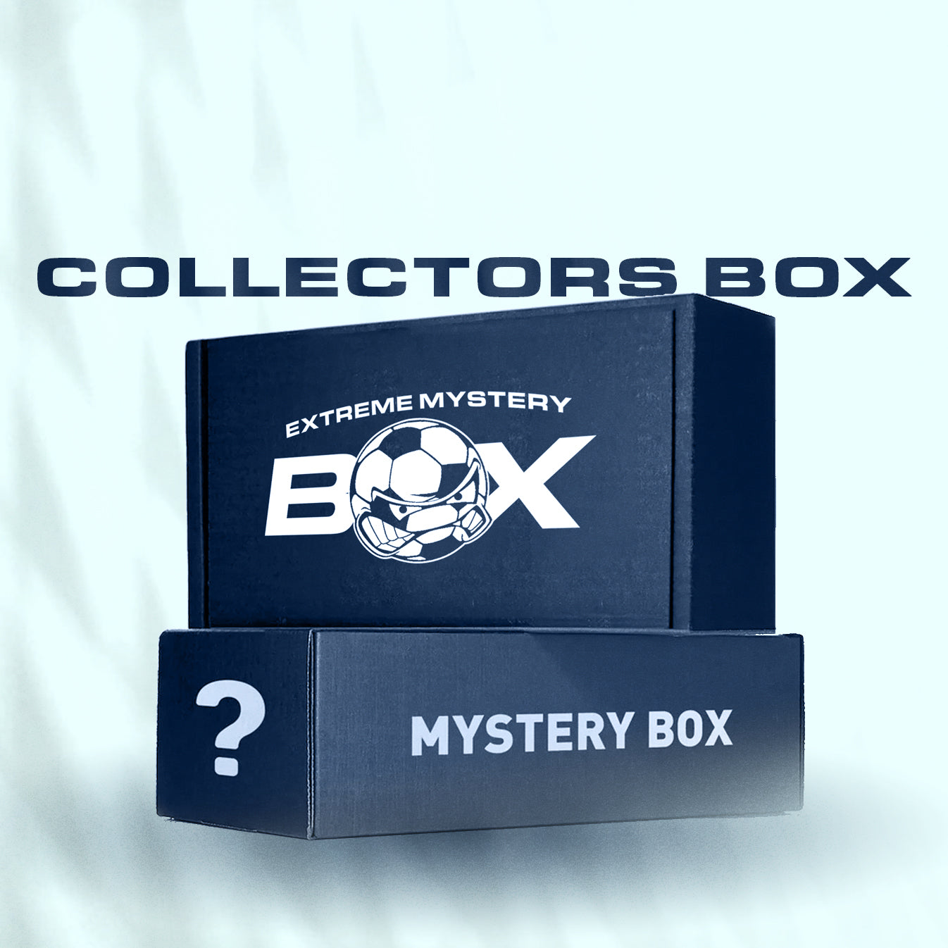 Collectors Mystery Box