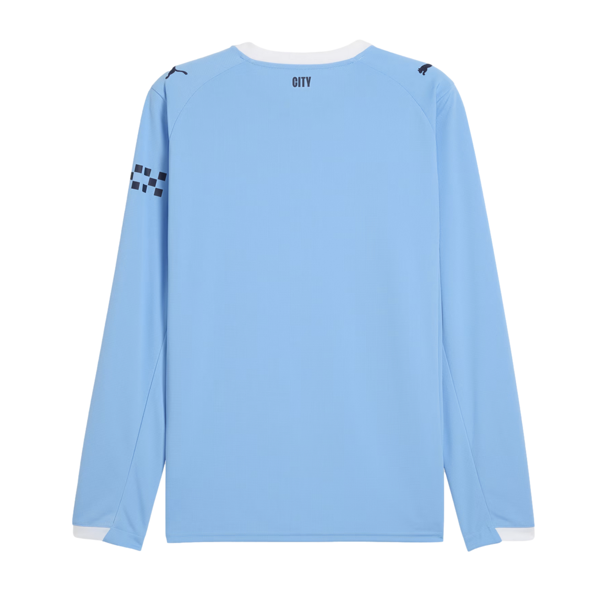 Puma Mens Manchester City Home Long Sleeve 25/26