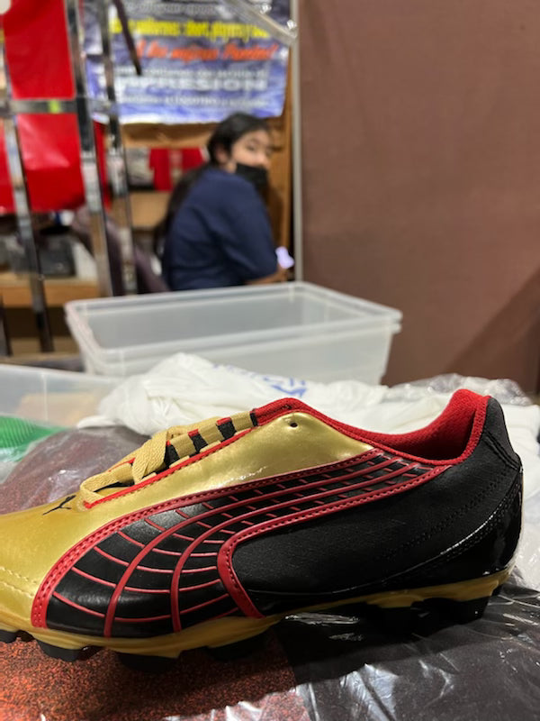 Puma v5. 10 i FG JR