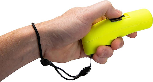 Champro Electronic Whistle