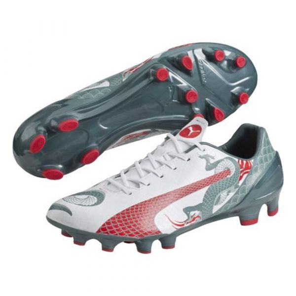 Puma evoSPEED 4.3 Graph